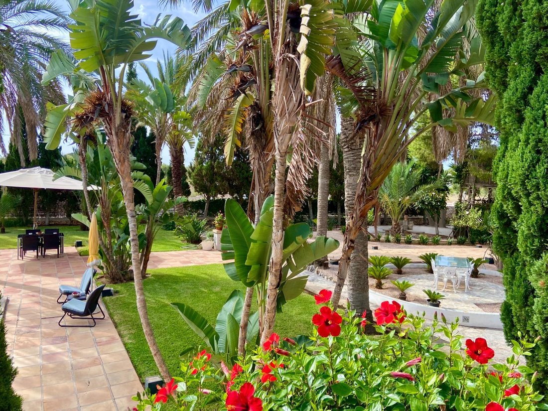 Estate in Cala d'Or, Santanyi, Balearic Islands 5 - 16503847