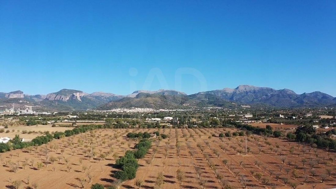 Land in Inca, Balearic Islands, Spain 4 - 14197570