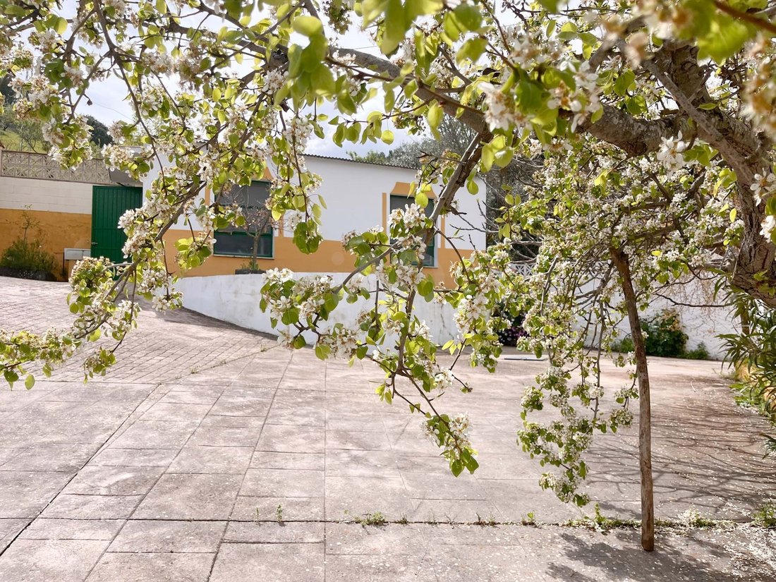 Country House in Casabermeja, Andalusia, Spain 2 - 15482076