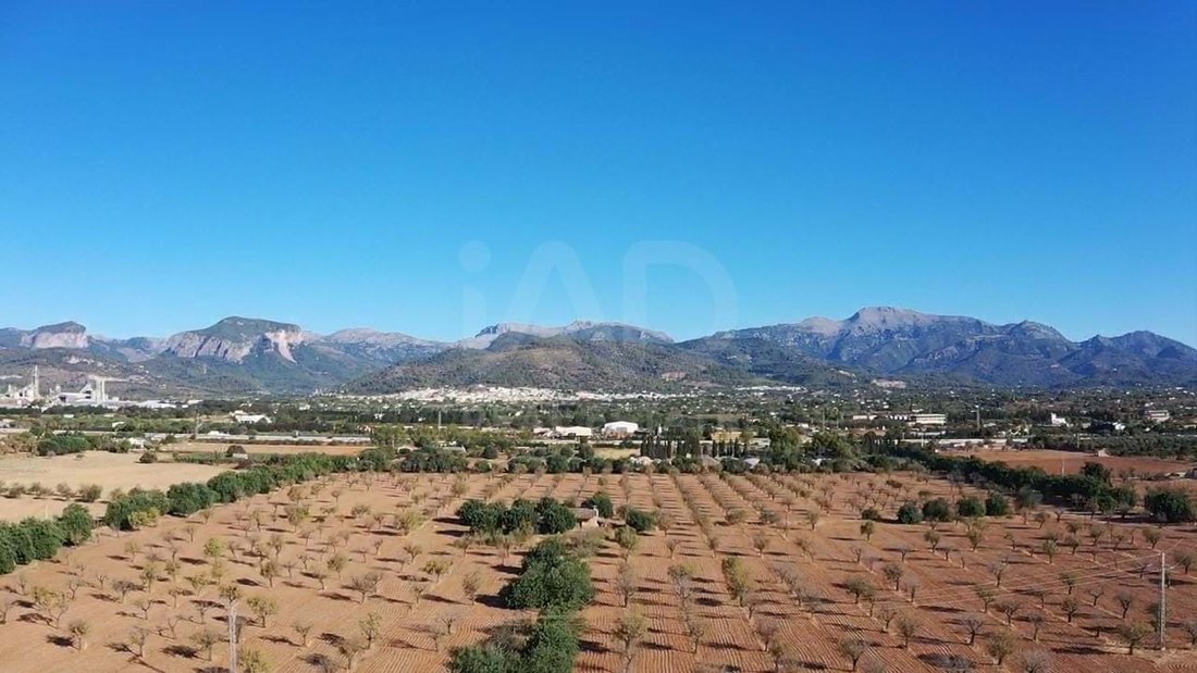 Land in Inca, Balearic Islands, Spain 3 - 14197570