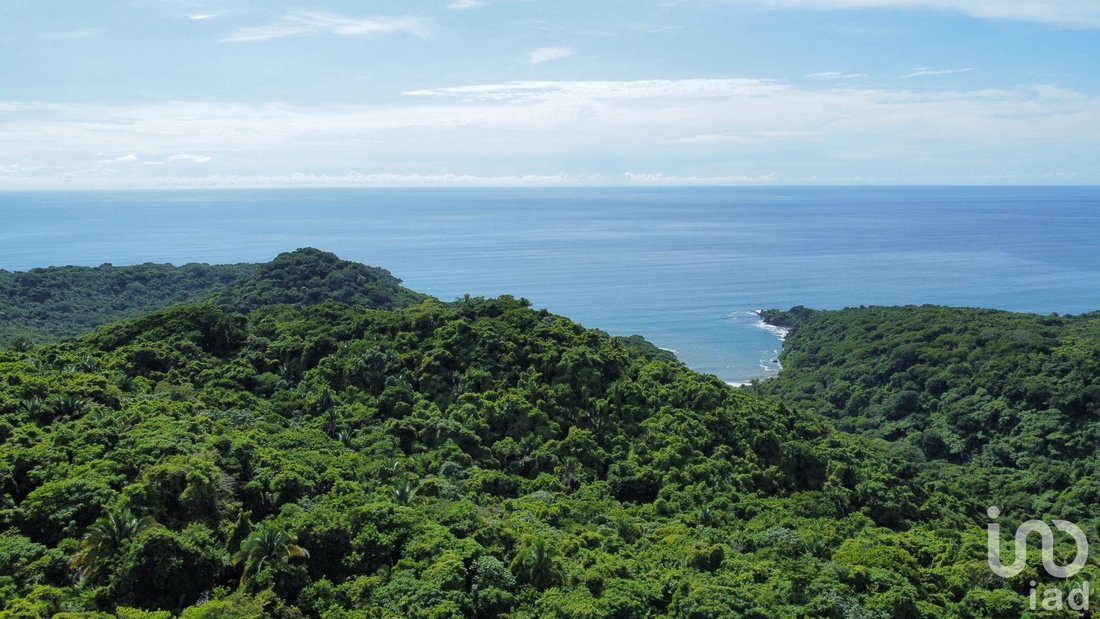 Land in El Divisadero, Nayarit, Mexico 5 - 16511132