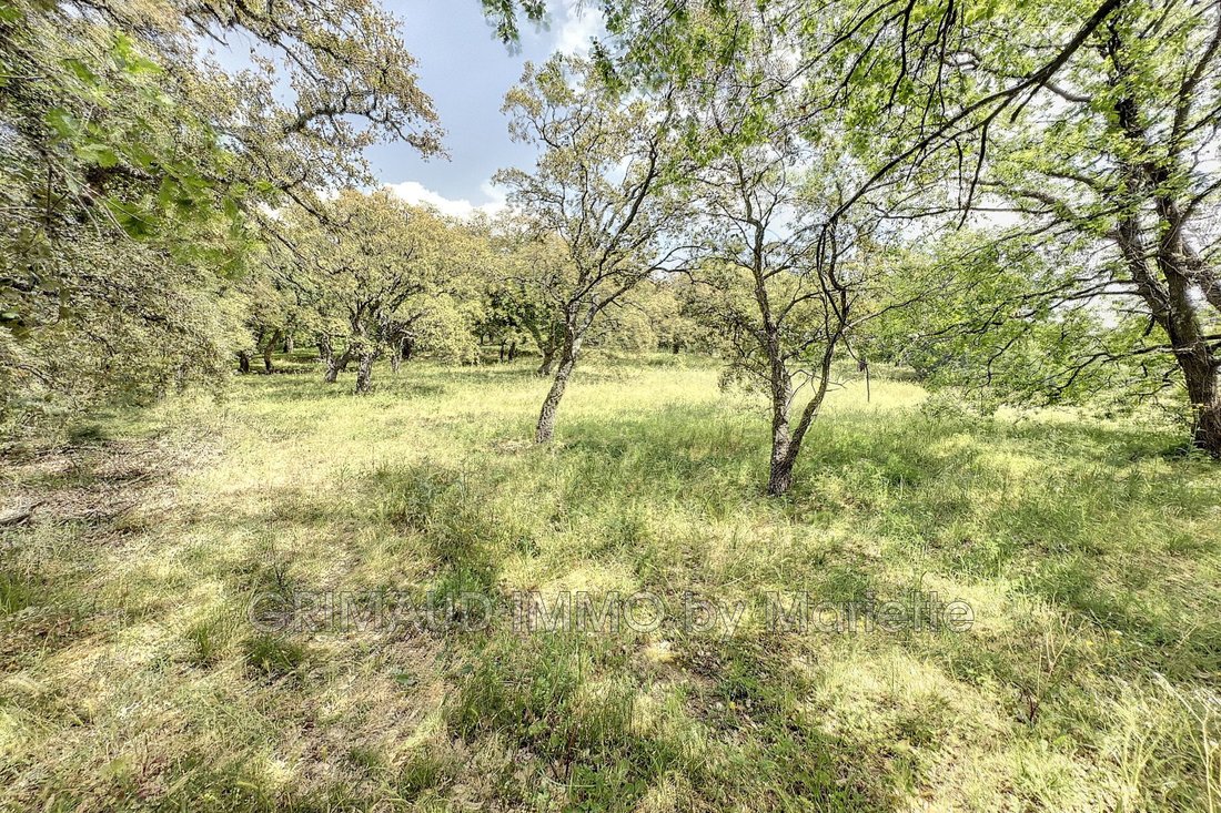 Land in Grimaud, Provence-Alpes-Côte d'Azur, France 2 - 16510587