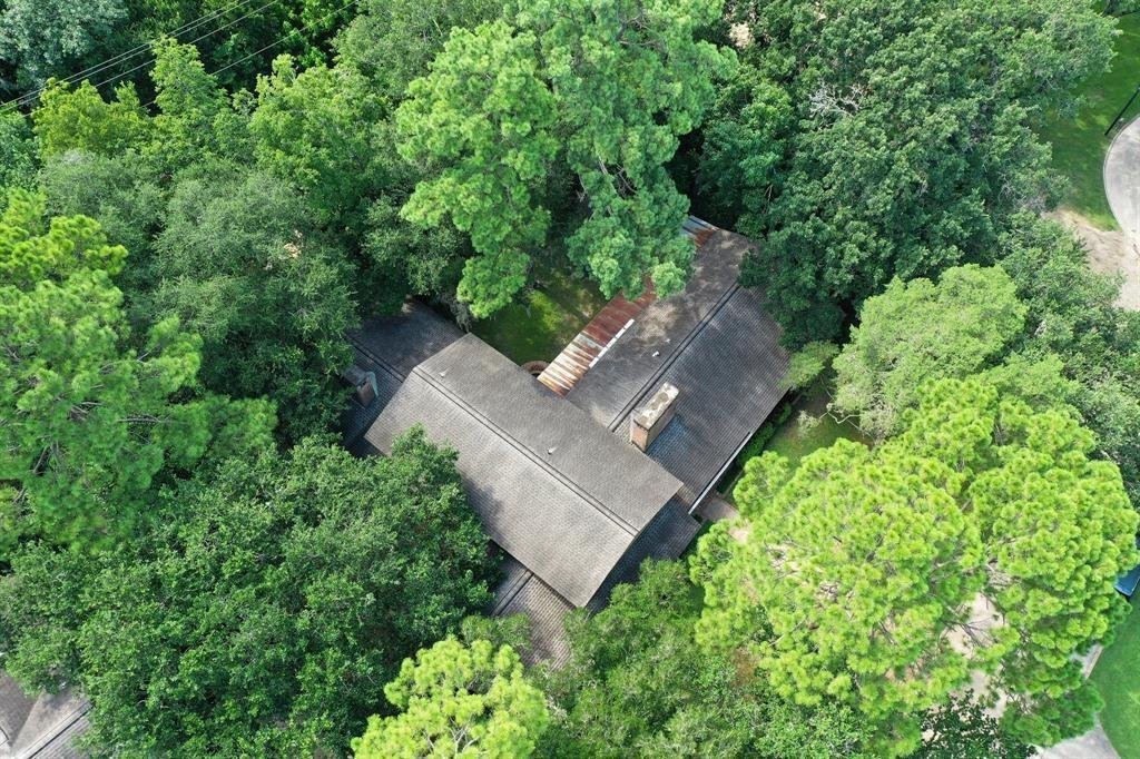 House in Houston, Texas, United States 3 - 16506529