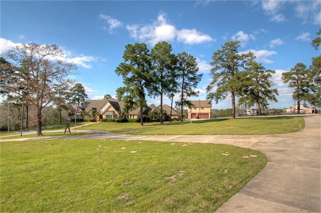 House in Conroe, Texas, United States 3 - 16510287