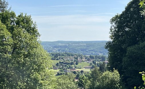 Castle for Sale in Montignac, Nouvelle-Aquitaine, France
