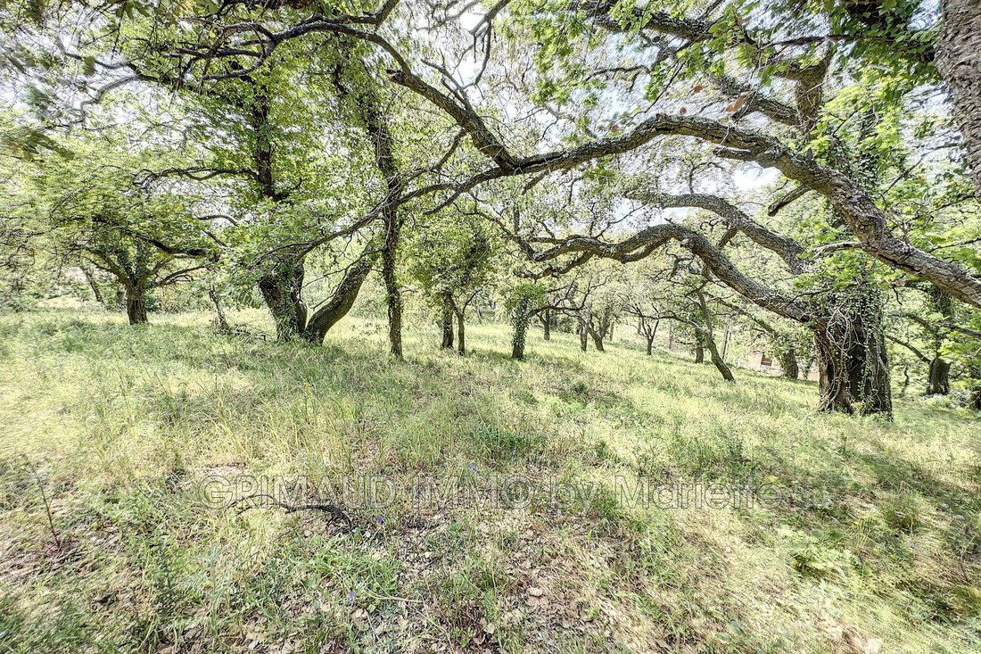 Land in Grimaud, Provence-Alpes-Côte d'Azur, France 1 - 16510587