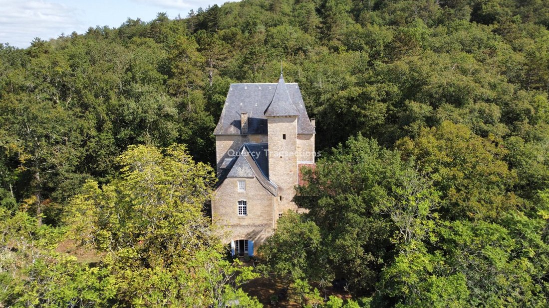 House in Montignac-Lascaux, Nouvelle-Aquitaine, France 1 - 16510542