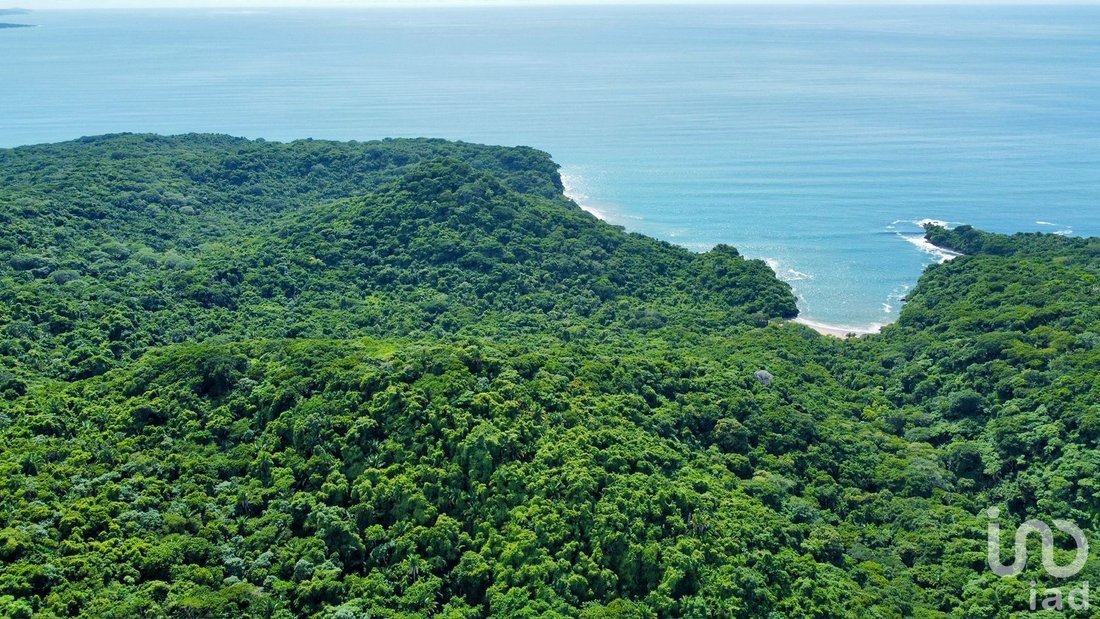 Land in El Divisadero, Nayarit, Mexico 3 - 16511132