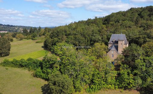 Castle for Sale in Montignac, Nouvelle-Aquitaine, France