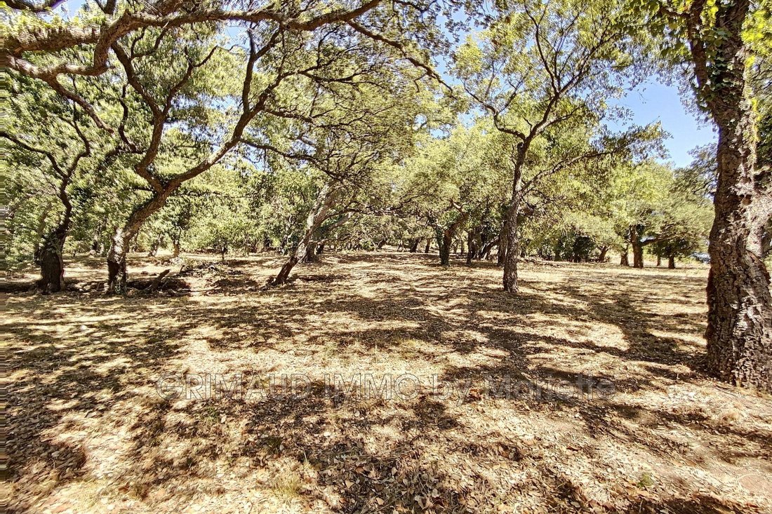 Land in Grimaud, Provence-Alpes-Côte d'Azur, France 5 - 16510587