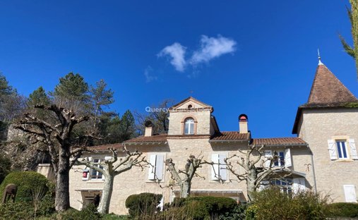 An Urban Chateau Dating Back To 1930 With An Outhouse, A Swimming Pool And Tree Dotted Grounds