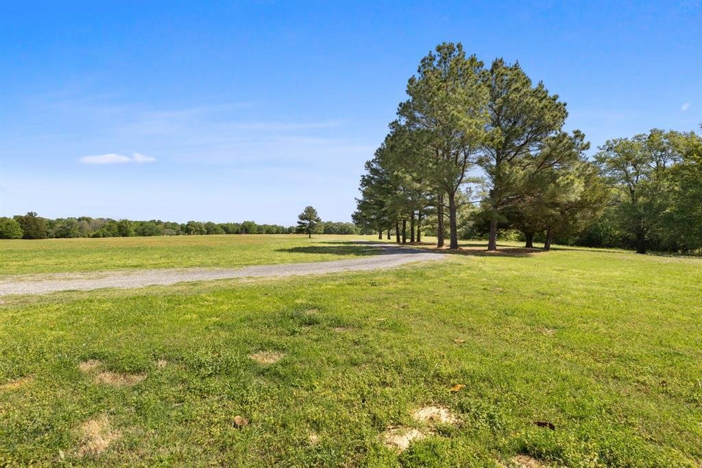 House in Wills Point, Texas, United States 3 - 16512913