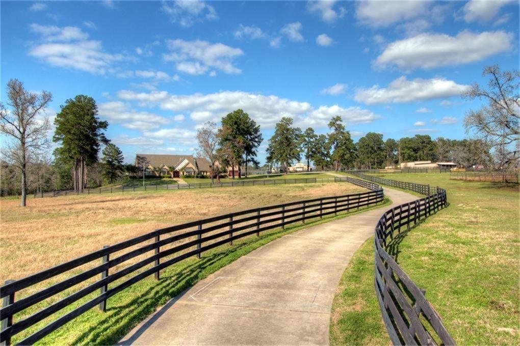 House in Conroe, Texas, United States 5 - 16510287