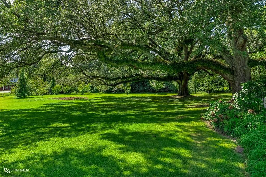 House in Shreveport, Louisiana, United States 1 - 16514598