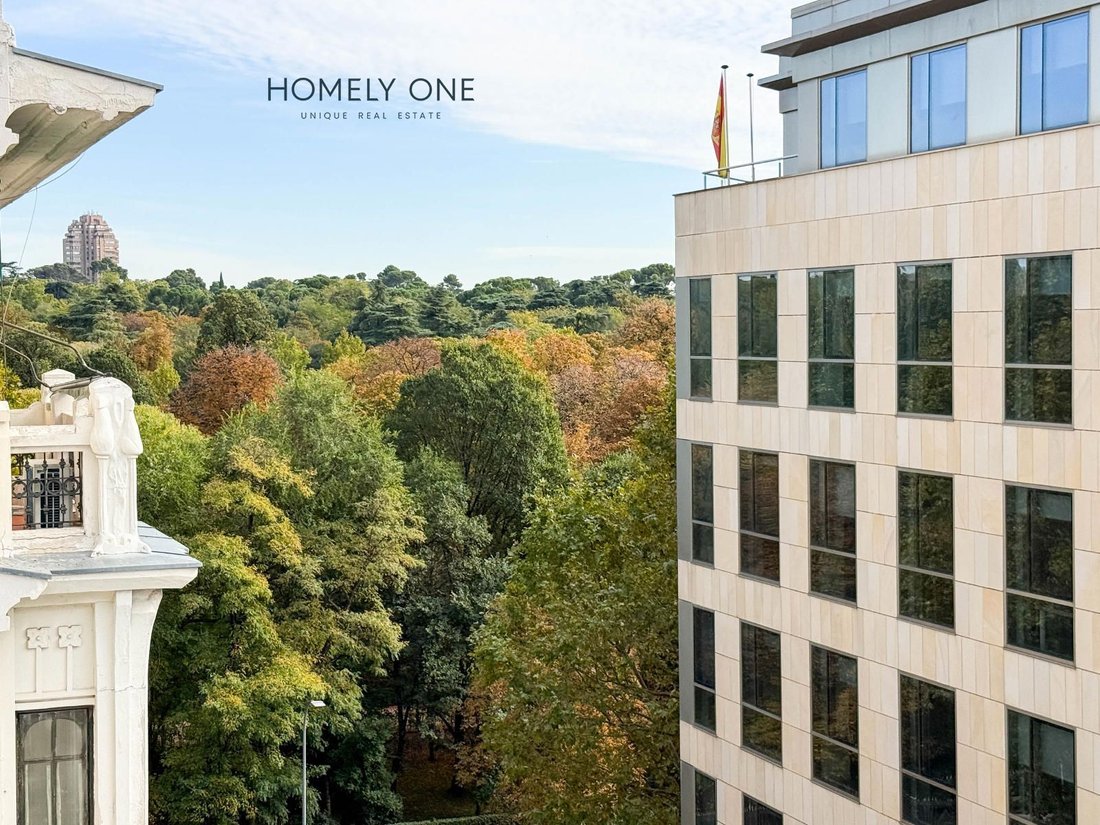 Penthouse in Retiro, Madrid, Spain 4 - 16505883