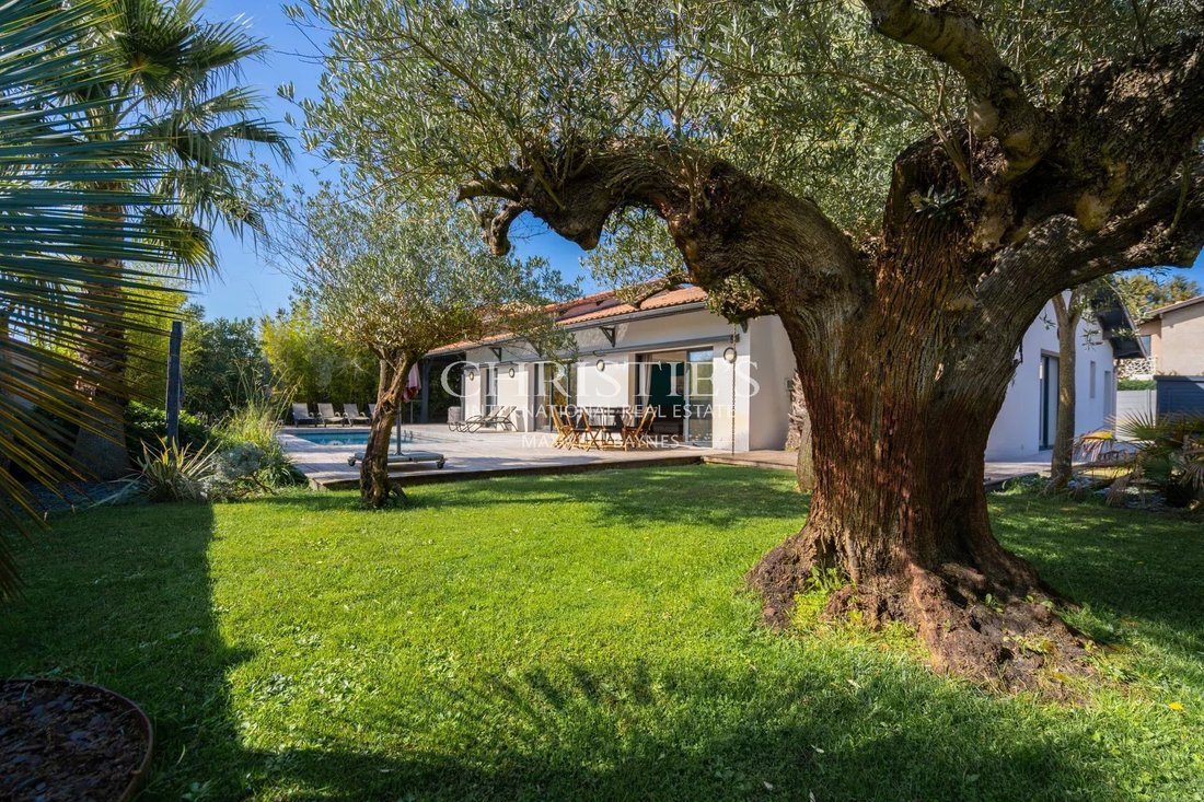 House in Aiguillon-Port, La Teste-de-Buch, France 1 - 16506083