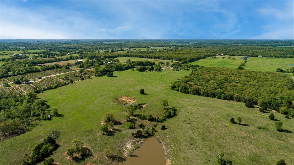 House in Fruitvale, Texas, United States 4 - 16512062