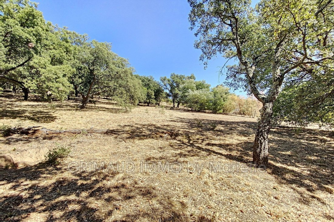 Land in Grimaud, Provence-Alpes-Côte d'Azur, France 4 - 16510587