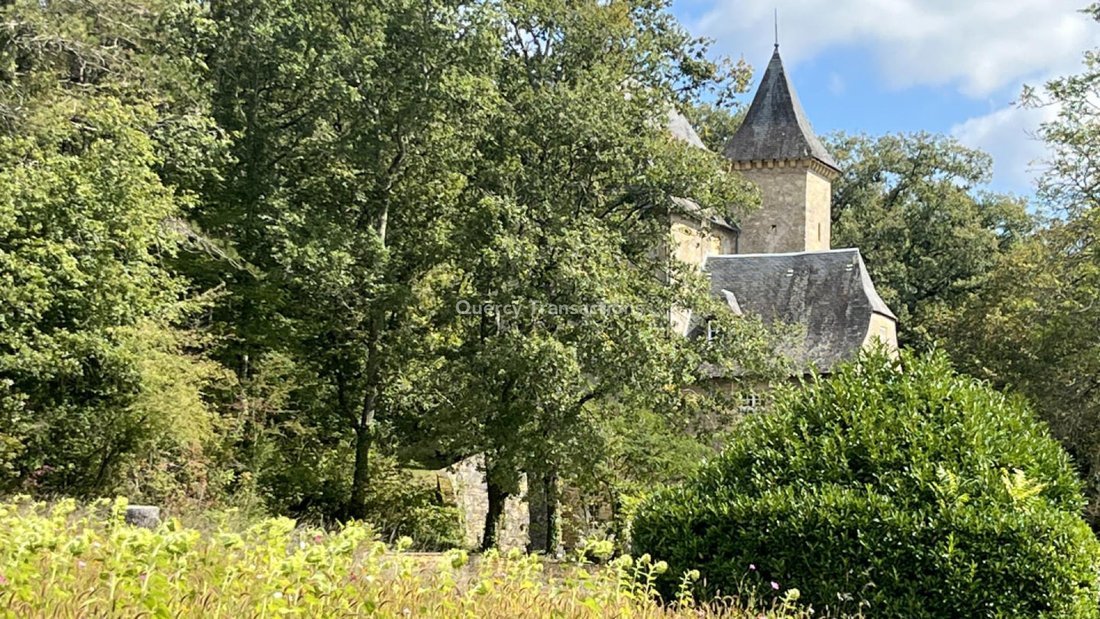 House in Montignac-Lascaux, Nouvelle-Aquitaine, France 3 - 16510542