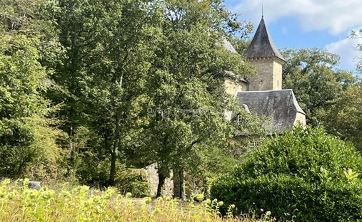 Castle for Sale in Montignac, Nouvelle-Aquitaine, France