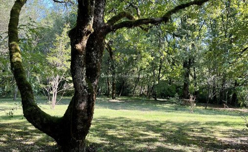 Castle for Sale in Montignac, Nouvelle-Aquitaine, France