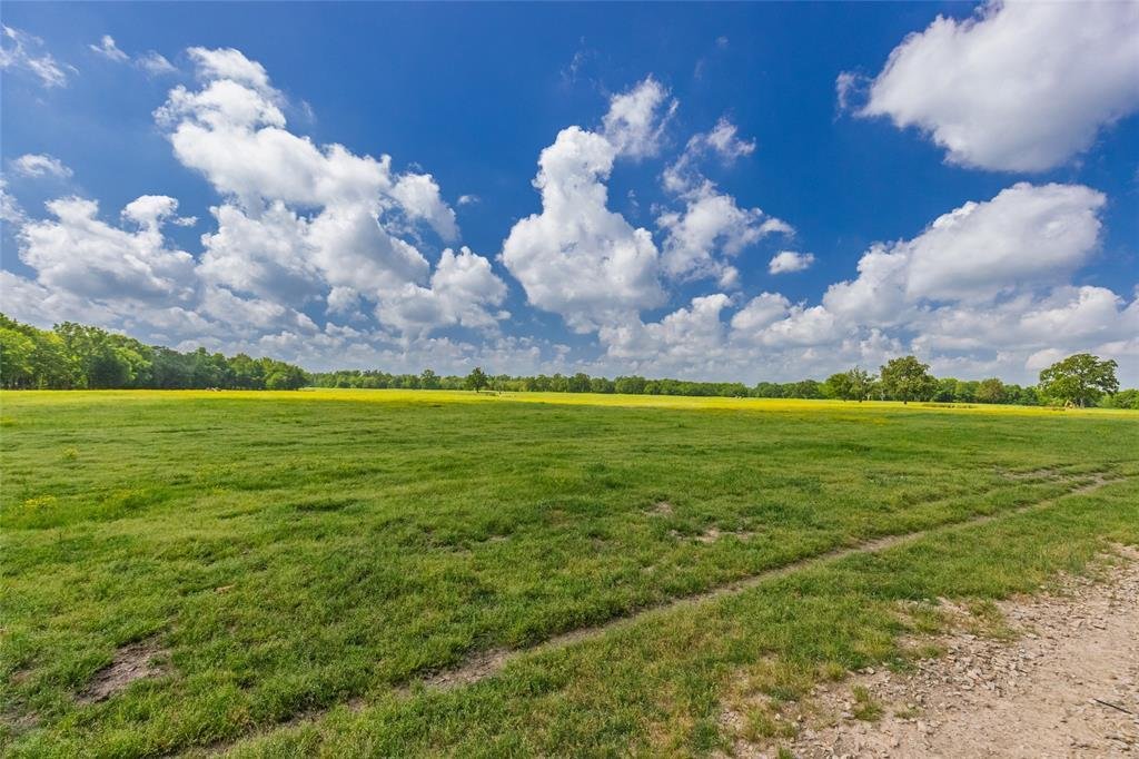 House in Dike, Texas, United States 3 - 16515097