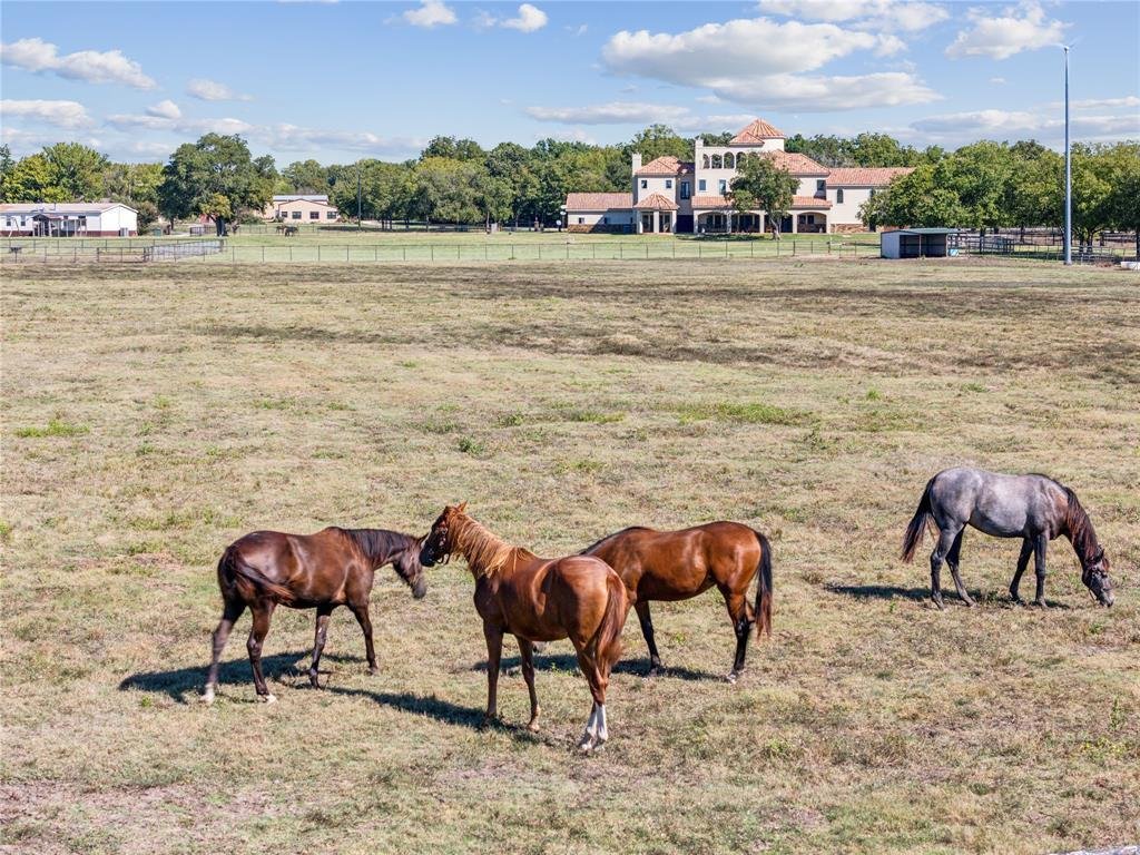 House in Cross Roads, Texas, United States 5 - 16511434