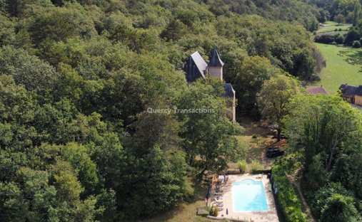 Castle for Sale in Montignac, Nouvelle-Aquitaine, France
