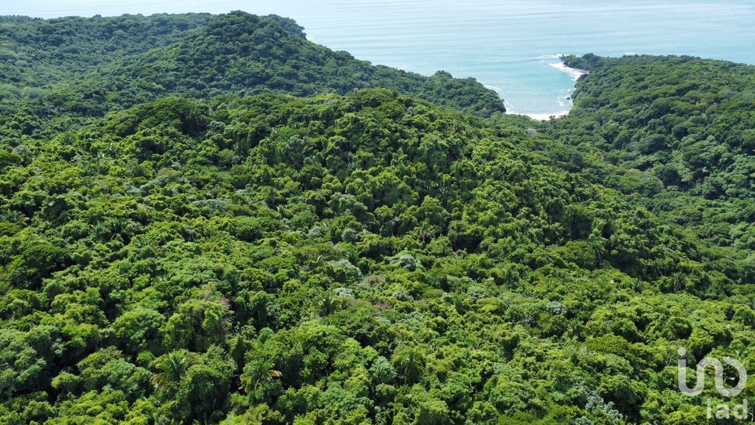 Land in El Divisadero, Nayarit, Mexico 4 - 16511132