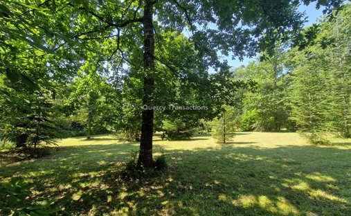 Castle for Sale in Le Bugue, Nouvelle-Aquitaine, France