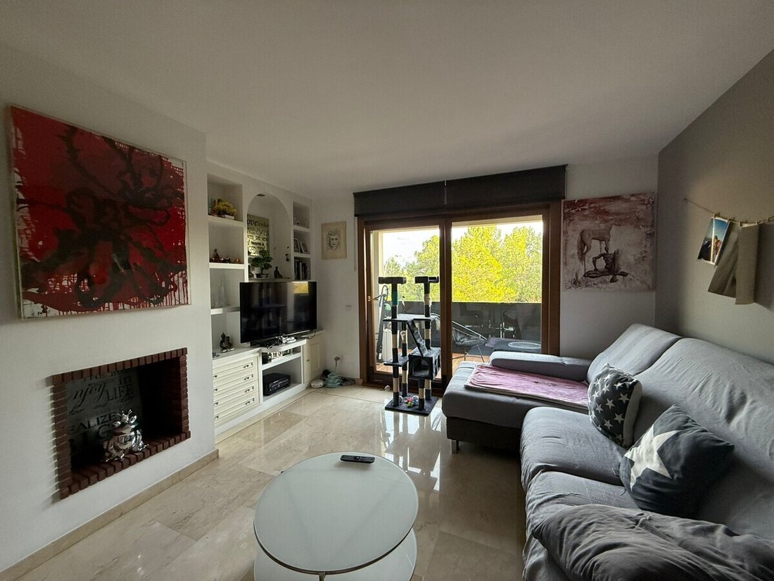 Apartment in Palma, Balearic Islands, Spain 5 - 16510670