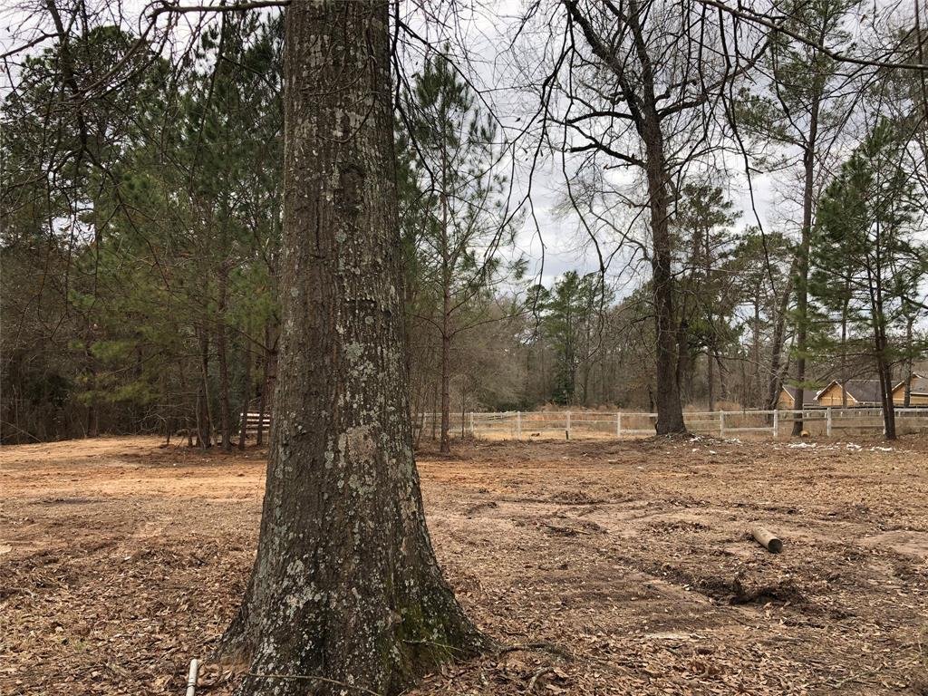 House in Willis, Texas, United States 5 - 16508370