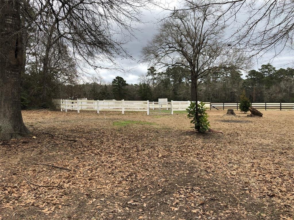 House in Willis, Texas, United States 4 - 16508370