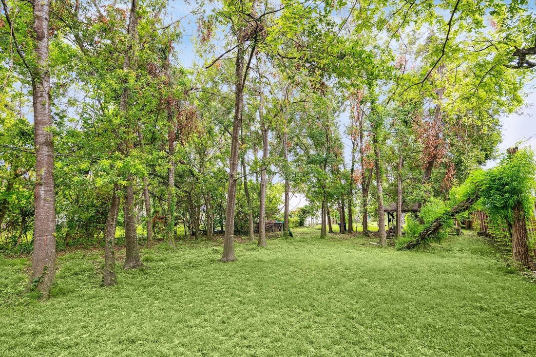 House in Houston, Texas, United States 4 - 16507185