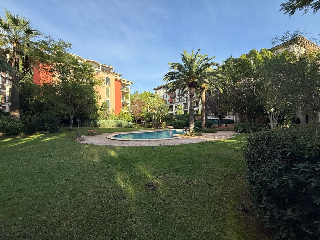 Apartment in Palma, Balearic Islands, Spain 2 - 16510670