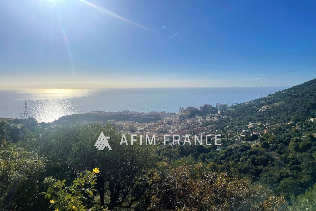 Villa in La Turbie, Provence-Alpes-Côte d'Azur, France 1 - 16503949