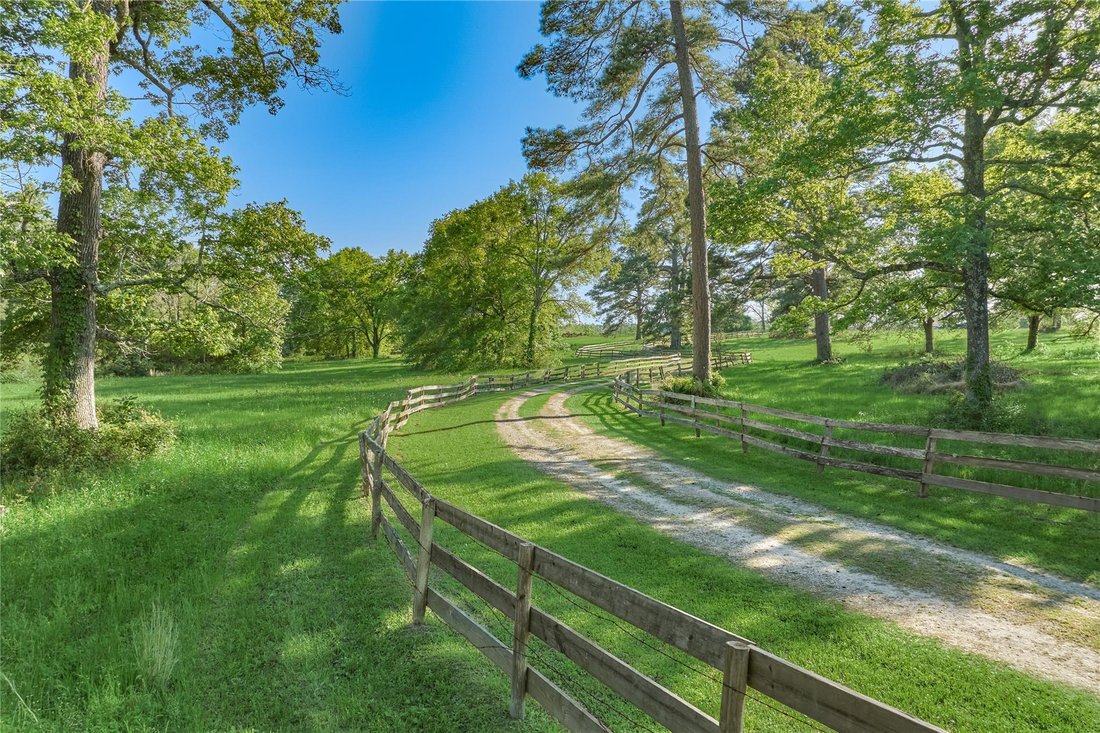 House in Montgomery, Texas, United States 4 - 16508288