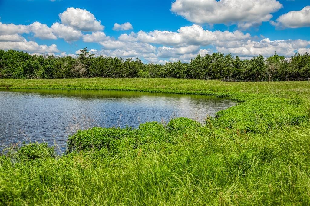 House in Mexia, Texas, United States 2 - 16508690