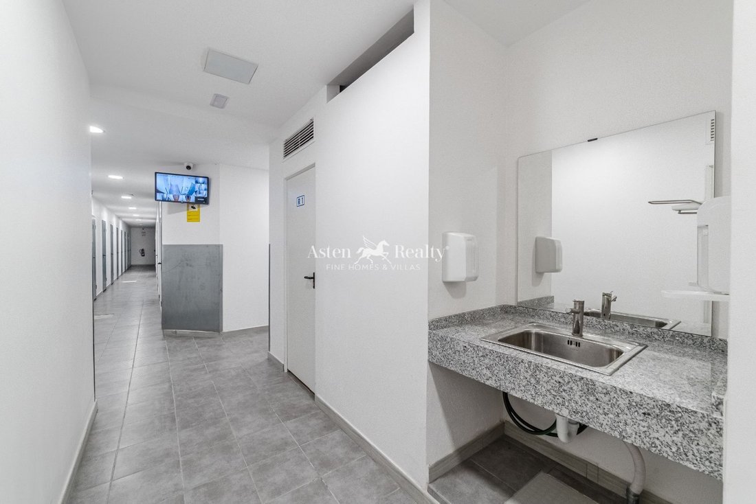 Puerto de la Cruz, Canary Islands, Spain 5 - 16506048