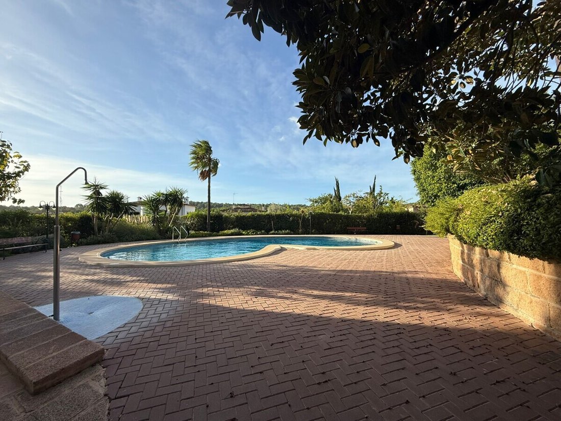 Apartment in Palma, Balearic Islands, Spain 1 - 16510670