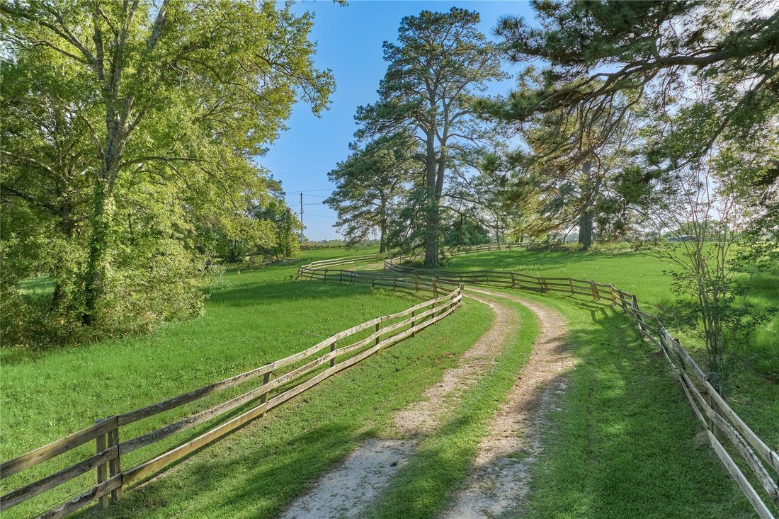 House in Montgomery, Texas, United States 2 - 16508288