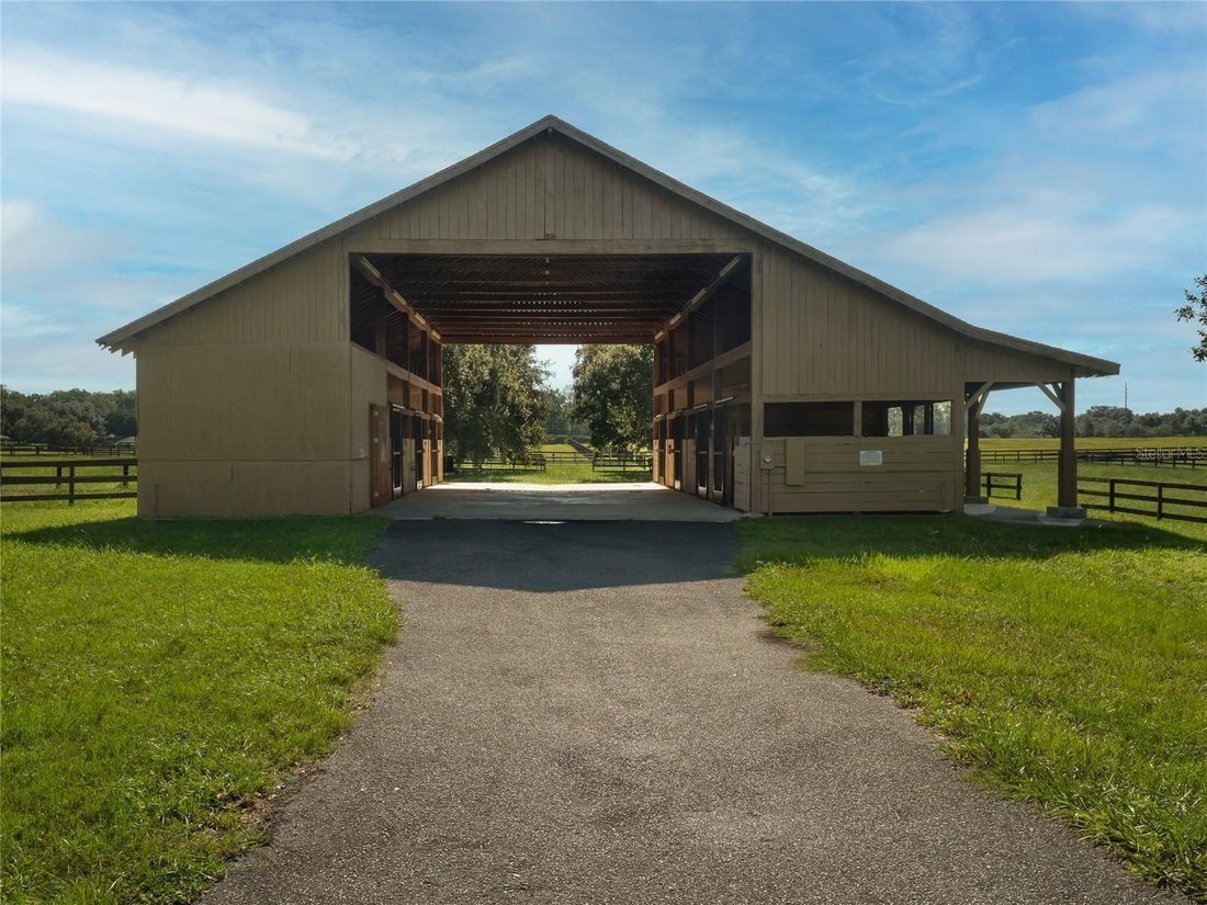 Farm Ranch in Ocala, Florida, United States 4 - 16528897