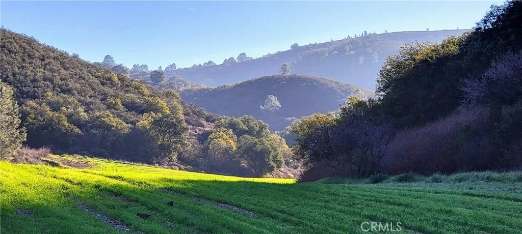 House in Bradley, California, United States 3 - 16521643