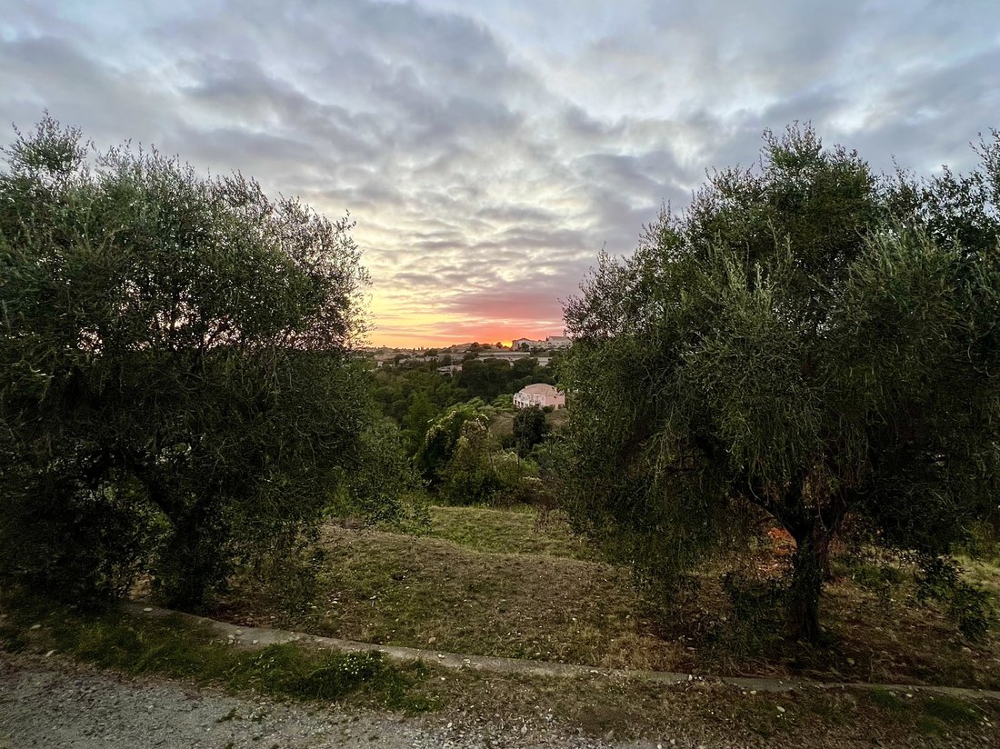 Nice, Provence-Alpes-Côte d'Azur, France 2 - 16482144