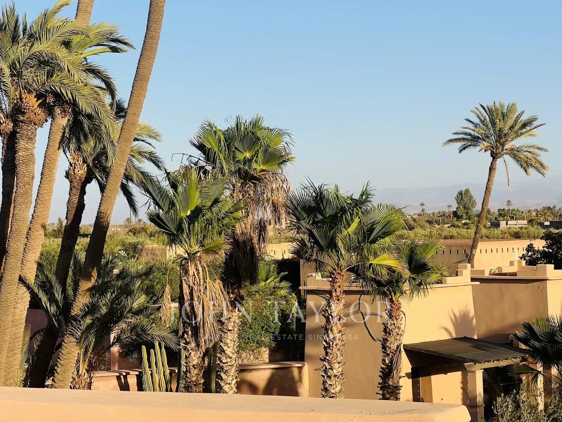 Marrakesh, Marrakesh-Safi, Morocco 5 - 16529274