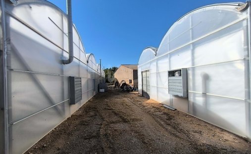 Land in Flix, Catalonia, Spain 1