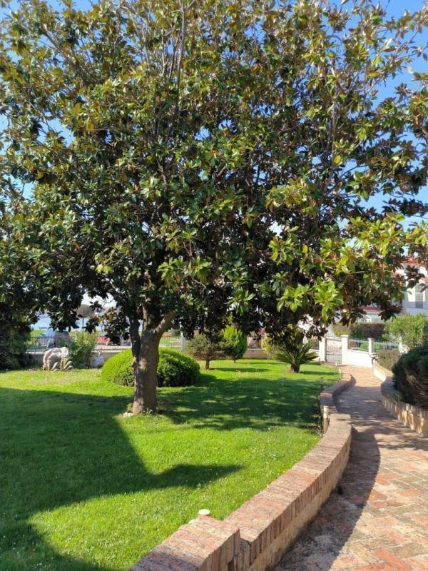 Villa in Umag, Istria County, Croatia 4 - 16529815