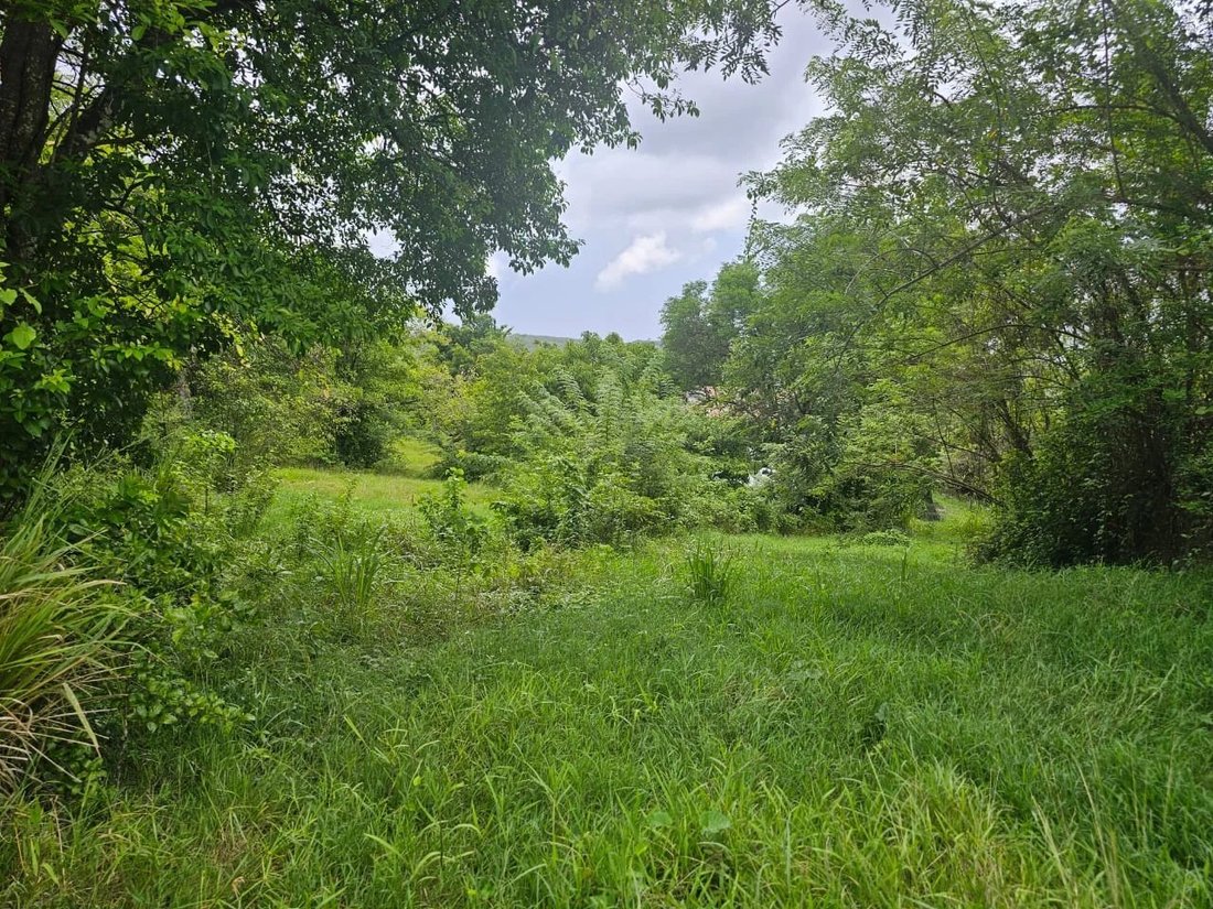 Land in Les Trois-Îlets, Le Marin, Martinique 3 - 16528954