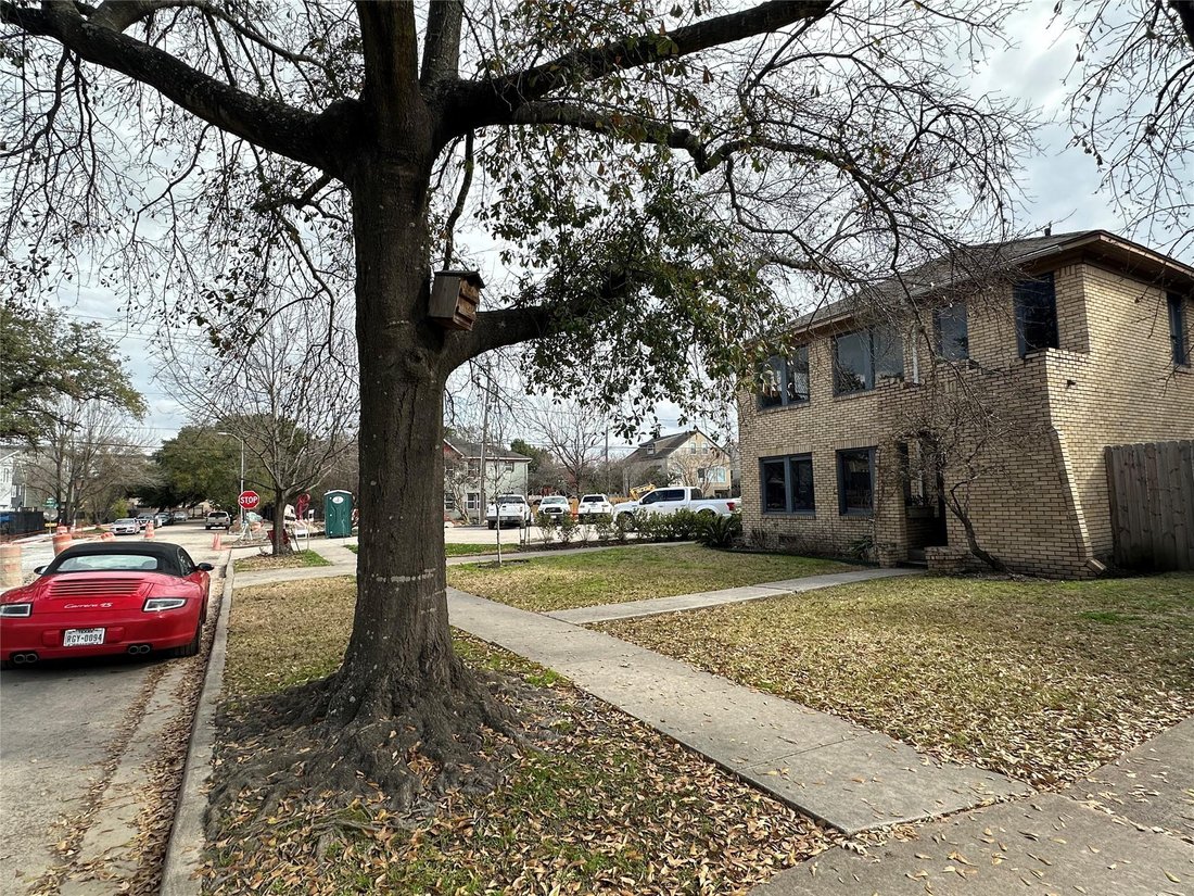 Houston, Texas, United States 3 - 16529715