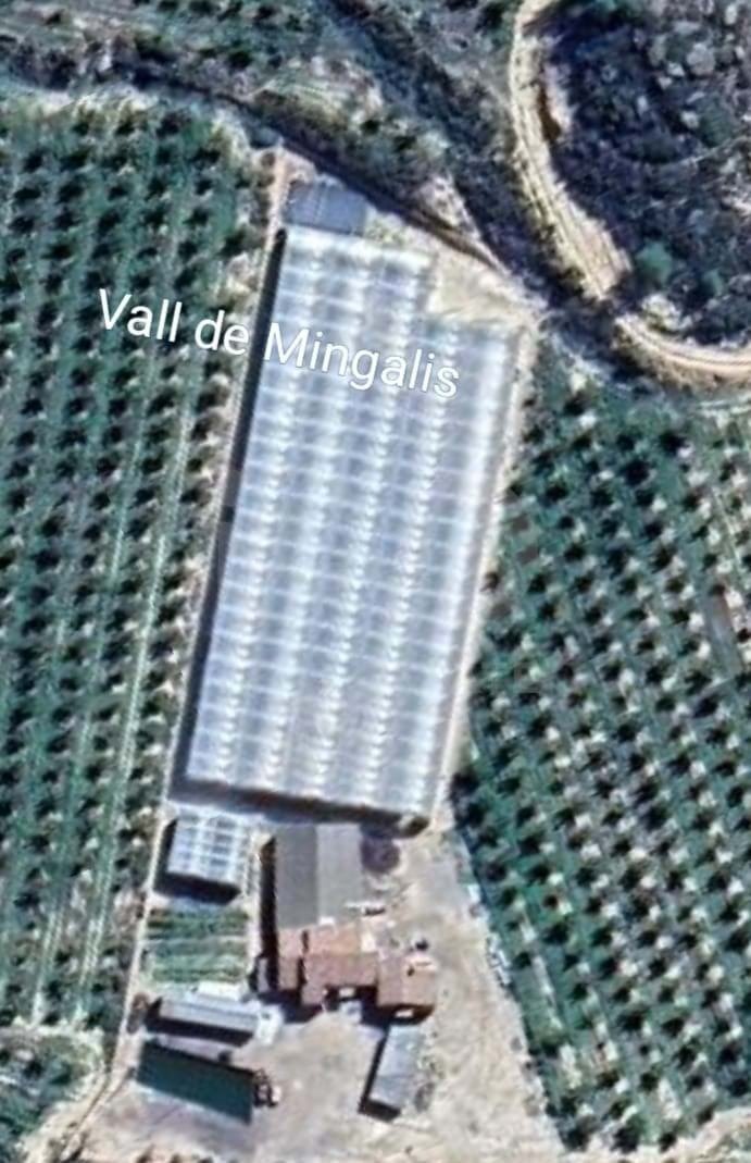 Land in Flix, Catalonia, Spain 3 - 16361051